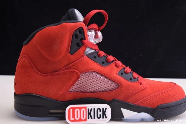 Rep LUCY Jordan Bulls 5 DD0587-600 Retro (2021) Raging Red 0801
